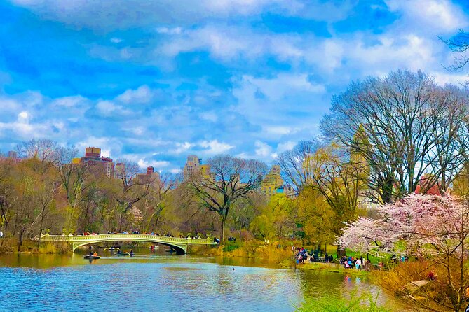 VIP Central Park Experience Tour with photos 50min~Skip the line - Cherry Hill, the Mall, and a carrot for the horse