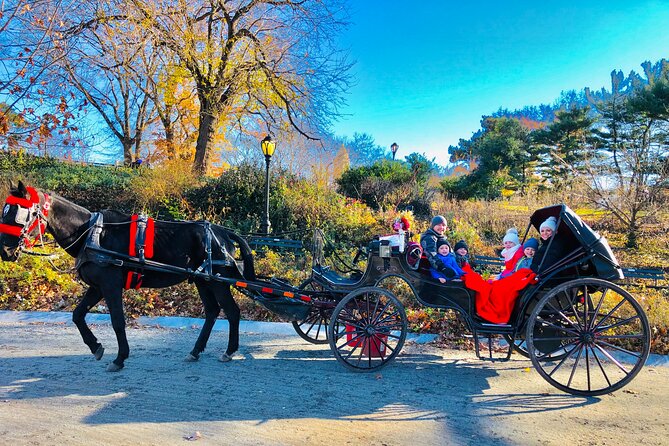VIP Central Park Experience Tour with photos 50min~Skip the line - The Carousel, Sheep Meadow, and Balto