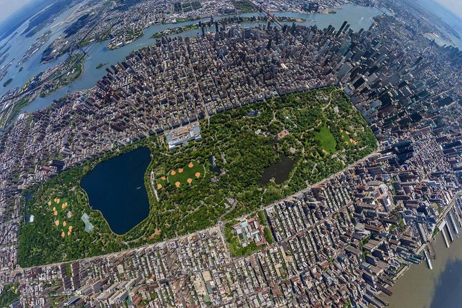 VIP Horse Carriage Ride through Central Park (Up to 4 Adults) - A one-hour look at Central Park by carriage
