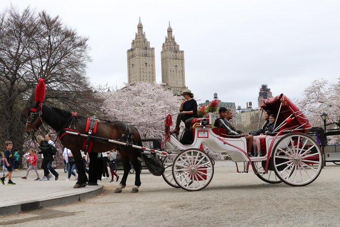 VIP Horse Carriage Ride through Central Park (Up to 4 Adults) - Columbus Circle closes the loop