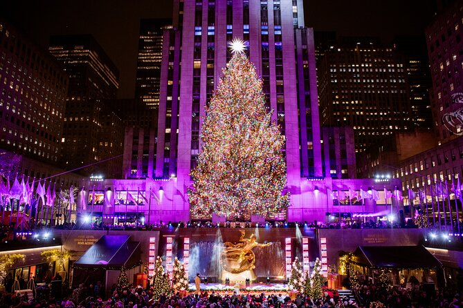VIP Rock Pass: Includes SKYLIFT, Beam, Rooftop Garden - Top of the Rock and Its Wide City View