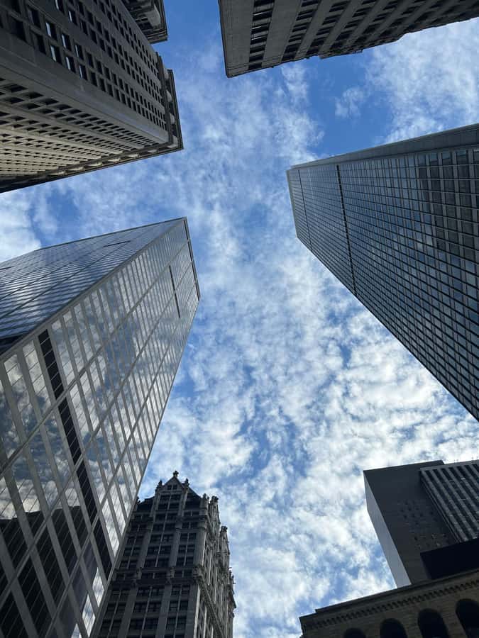 Wall Street: The birth place of NYC in French/English tour - The Wall of Wall Street and the modern Stock Exchange