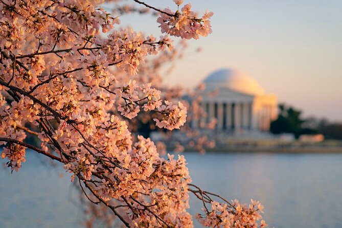 Washington D.C.& Philadelphia 2-Day Tour from New York City - Lincoln Memorial and the Vietnam Veterans Memorial